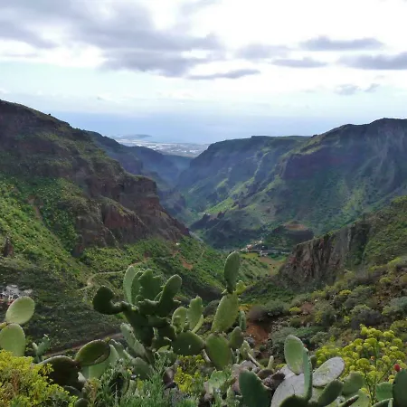 Casa Patio Canario Sxvii